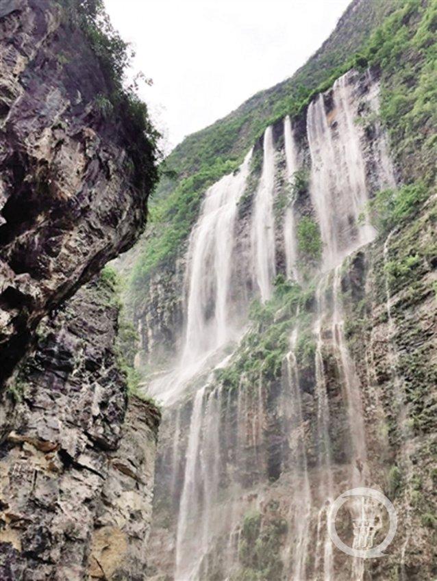 脑洞小老弟无实名认证