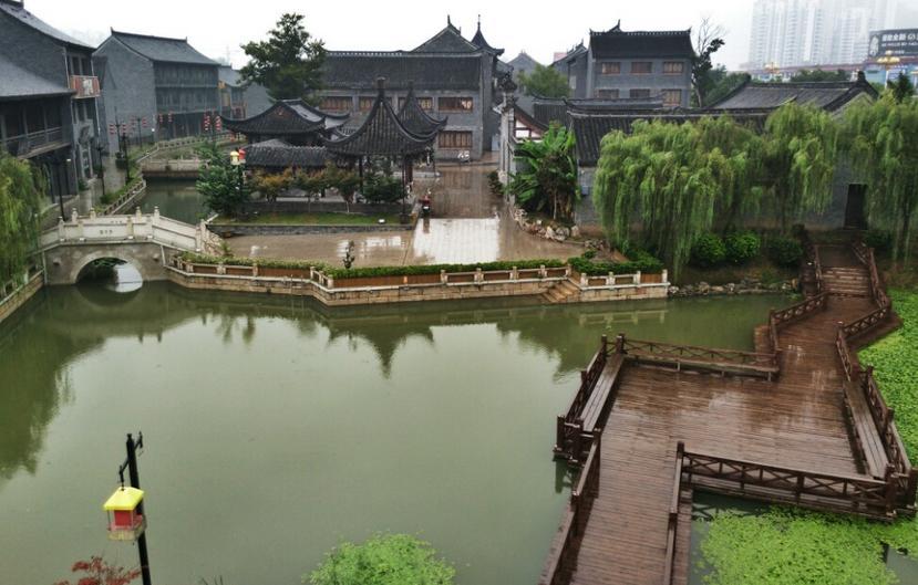 蓝狐视频